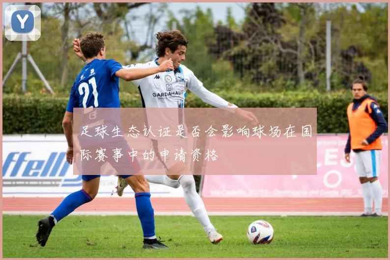 足球生态认证是否会影响球场在国际赛事中的申请资格